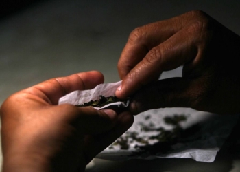 México no está listo para atender las consecuencias de legalizar la cannabis