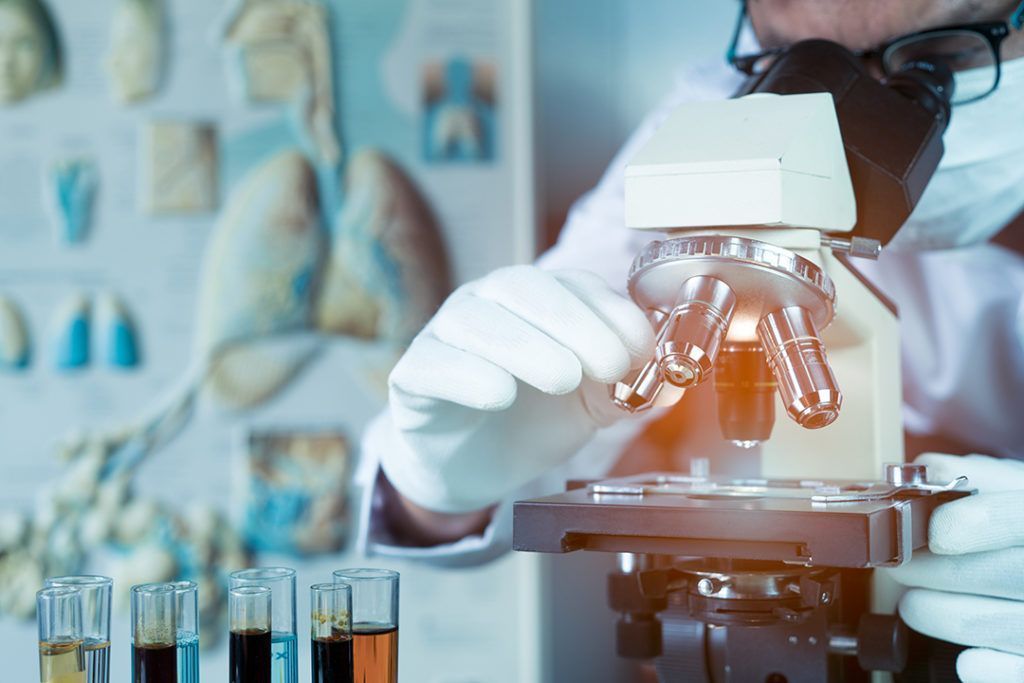 Conocimiento tradicional y ciencia