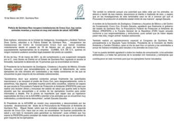 Desmienten a Carlos Joaquín; tras intervención tardía, encuentran animales muertos y desnutridos en Croco-Cun