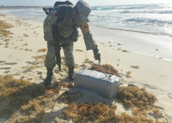 Sedena asegura paquete con 36 kilos de presunta droga en playas de Cozumel