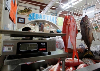 Intensifica la Cofepris la vigilancia en la venta de pescados y mariscos