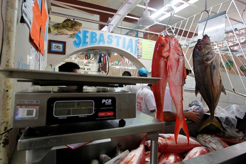Intensifica la Cofepris la vigilancia en la venta de pescados y mariscos