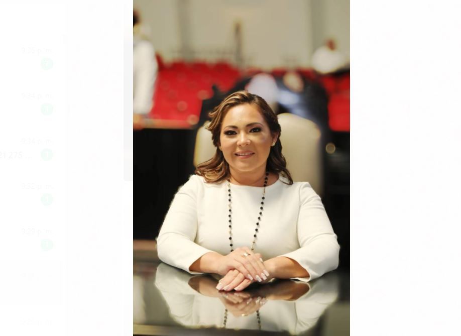 Diputada local, Ana Pamplona renuncia al PT, se declara independiente