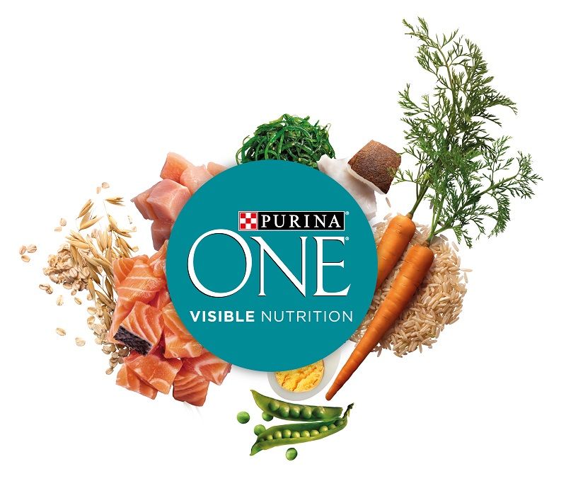 Purina® presenta su nuevo producto super premium para gatos, Purina® one® cat