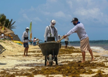 Alertan la Red de Monitorio contra recales masivos de sargazo este año