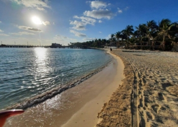 Ya retiraron de playas de isla Mujeres más de 50 toneladas de sargazo