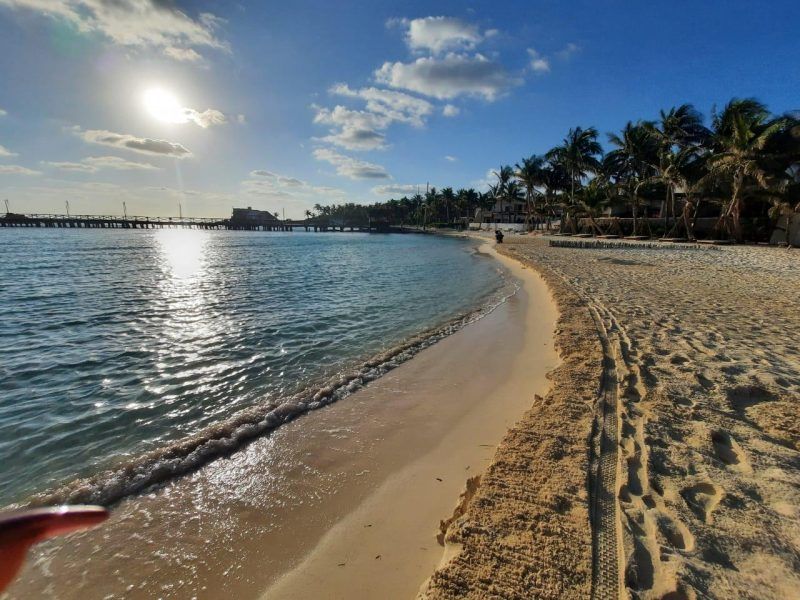 Ya retiraron de playas de isla Mujeres más de 50 toneladas de sargazo