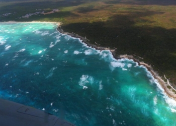 Alertan sobre riesgos y costos en caso de no restaurar los arrecifes y playas