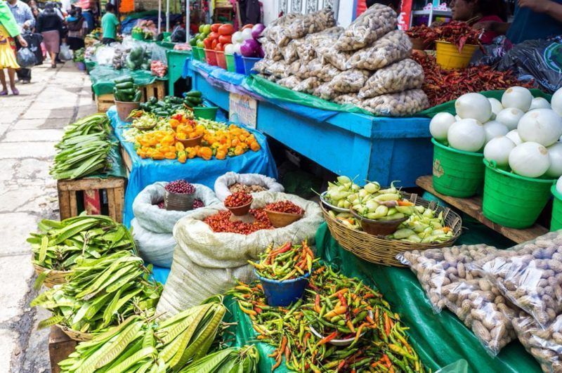 ¡OPB y Bacalar en la ruta agroalimentaria!
