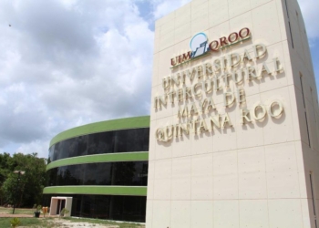Abandonó sus estudios 14% de los estudiantes de Universidad Maya