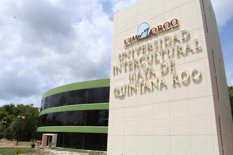 Abandonó sus estudios 14% de los estudiantes de Universidad Maya