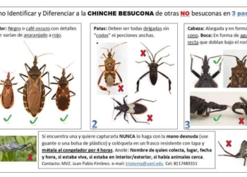 La Enfermedad de CHAGAS, silenciosa y potencialmente mortal