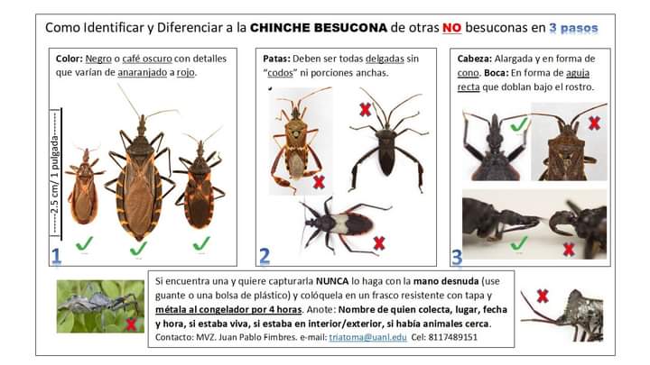 La Enfermedad de CHAGAS, silenciosa y potencialmente mortal