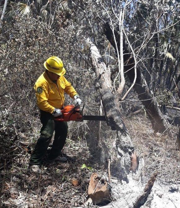 La Conafor reporta dos incendios forestales en proceso en Quintana Roo