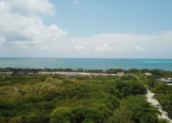 RIU recibe sentencia favorable para continuar proyecto en Punta Nizuc