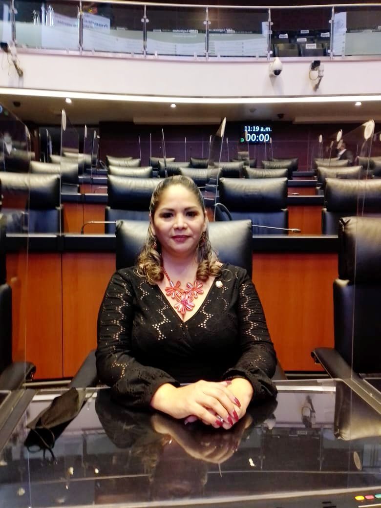 Con la experiencia y capacidad para legislar, Marena López asume la senaduría en la Cámara alta