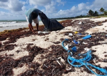 Retiran más de 80 toneladas de basura que recaló en playas de Xcacel-Xcacelito