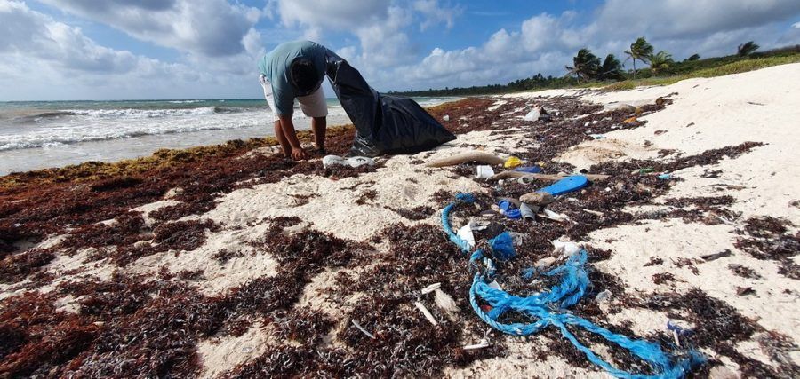 Retiran más de 80 toneladas de basura que recaló en playas de Xcacel-Xcacelito