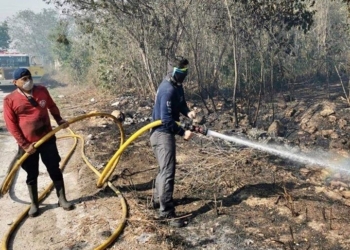 Incendios forestales han afectado casi 140 hectáreas de Quintana Roo durante 2021