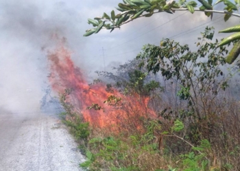 Hasta el momento se reportan 9 incendios forestales; dos activos