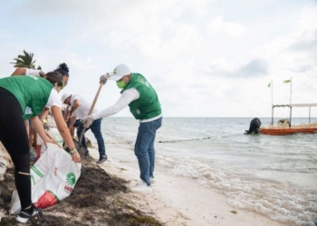 Activistas y políticos participan en jornada de limpieza de playas en Cancún