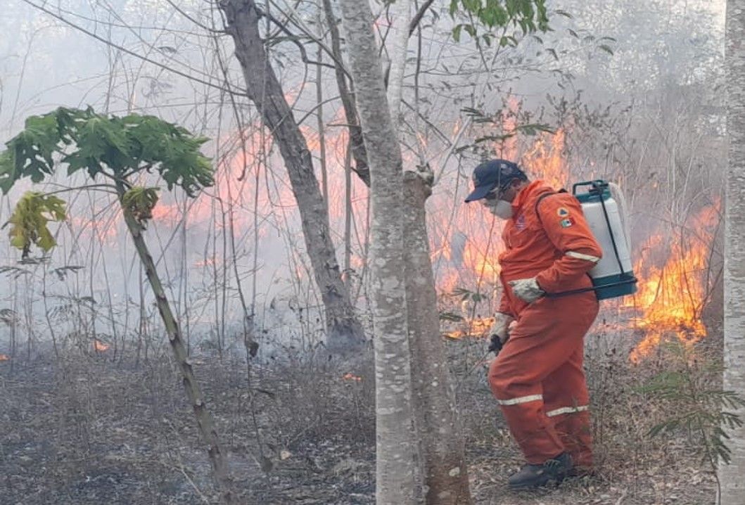 Mayo, el período más intenso de incendios en Yucatán