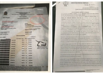 Denuncian, a probable responsable de abigeato