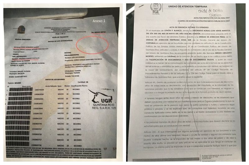 Denuncian, a probable responsable de abigeato