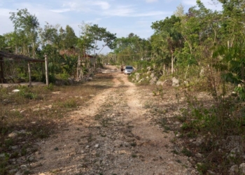 Habitantes de comunidad emergente en Lázaro Cárdenas desarrollan el asentamiento con recursos propios