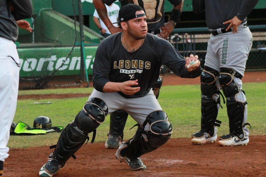 Sebastián Valle y su «ardiente bat» tienen a los Leones en la marcha perfecta…hasta ahora