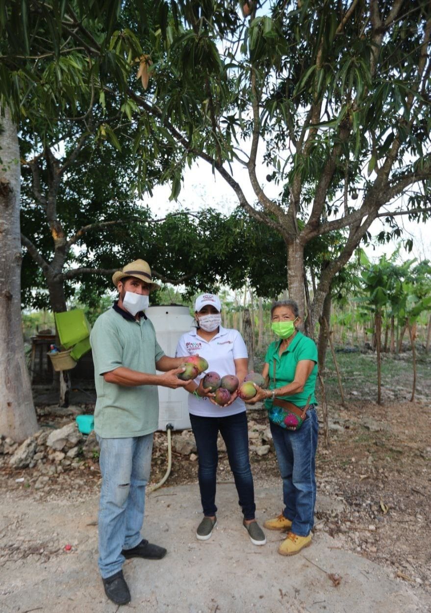 Candidata de «Juntos Haremos Historia en Quintana Roo» garantiza apoyo a campesinado de Puerto Morelos