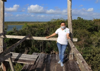 Cancún, próximo epicentro de las tendencias del turismo sustentables