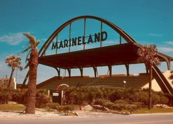 Marineland, celebra 83 años de experiencia con varios hitos en su historia