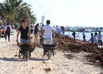 Ayuntamiento de Puerto Morelos redobla esfuerzos para limpiar playas ante arribo de sargazo