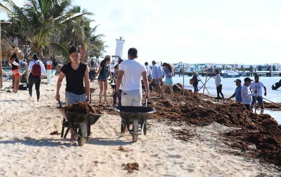 Ayuntamiento de Puerto Morelos redobla esfuerzos para limpiar playas ante arribo de sargazo
