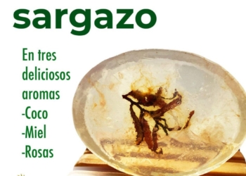 Empresa emplea sargazo para hacer jabones y darle trabajo a comunidades mayas