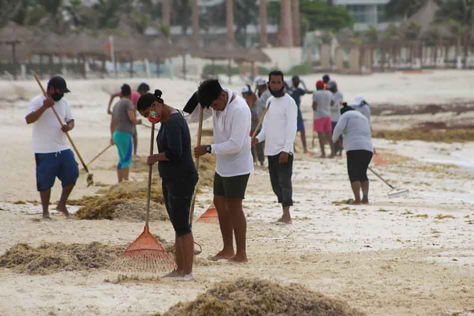 La Zofemat de Cancún recolecta miles de toneladas de sargazo desde mayo y espera llegada masiva del alga