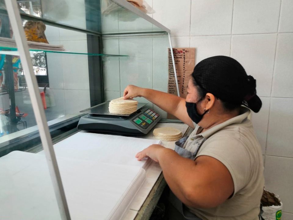 Molineros carrilloportenses anuncian alza del precio de la tortilla; ya no pueden con el costo de los insumos