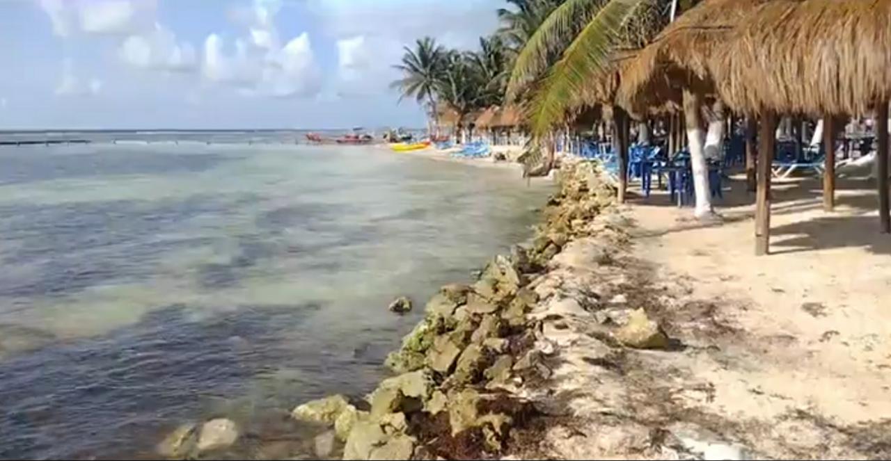 Prestadores de servicios de Mahahual deben estar certificados para atender a visitantes de crucero