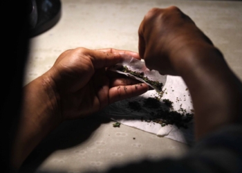 Especialista advierte daños a sector más vulnerable de la población por aval a uso lúdico de la marihuana