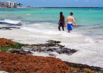 El sargazo no es un problema generalizado en toda la costa y se atiende donde hay, dice líder hotelero de la Riviera Maya