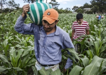 Quintana Roo, con un papel importante en materia de atención a refugiados