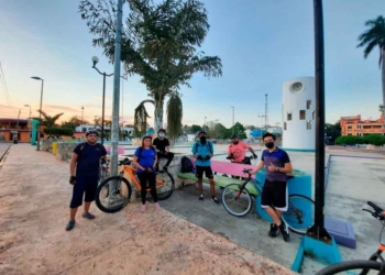 Arrollan a puma que cruzaba carretera Playa del Carmen-Tulum