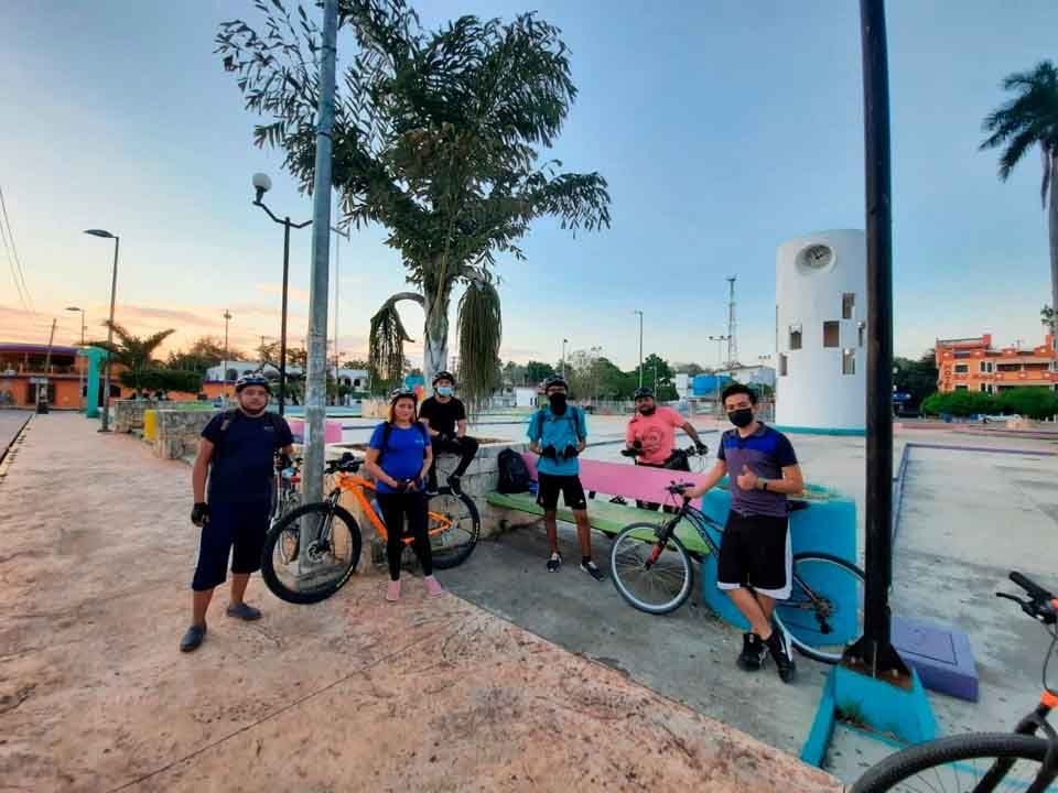 Arrollan a puma que cruzaba carretera Playa del Carmen-Tulum