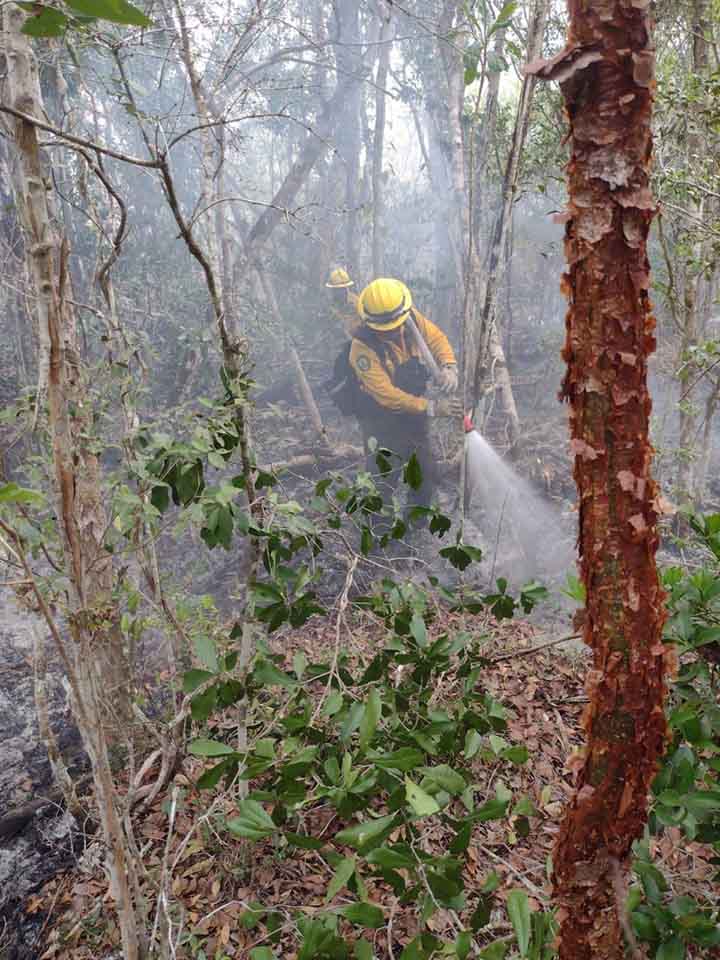 Reportan dos incendios forestales activos en Quintana Roo