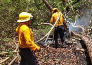 Gobierno de Quintana Roo mantiene bajo control un incendio en Bacalar