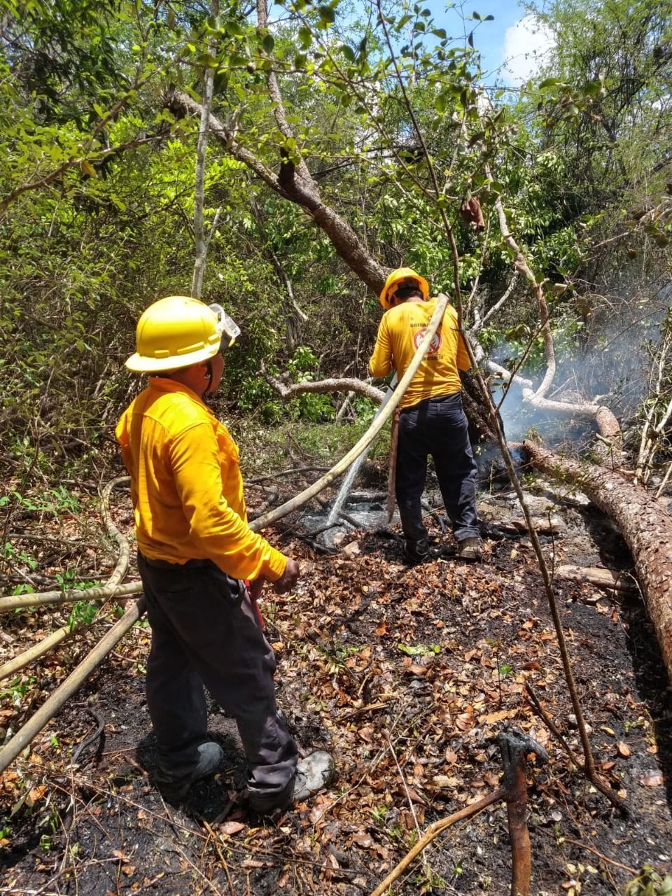 Gobierno de Quintana Roo mantiene bajo control un incendio en Bacalar
