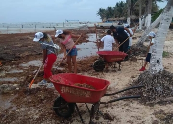 Representante de hoteleros de Mahahual reprueba empleo de embarcaciones sargaceras