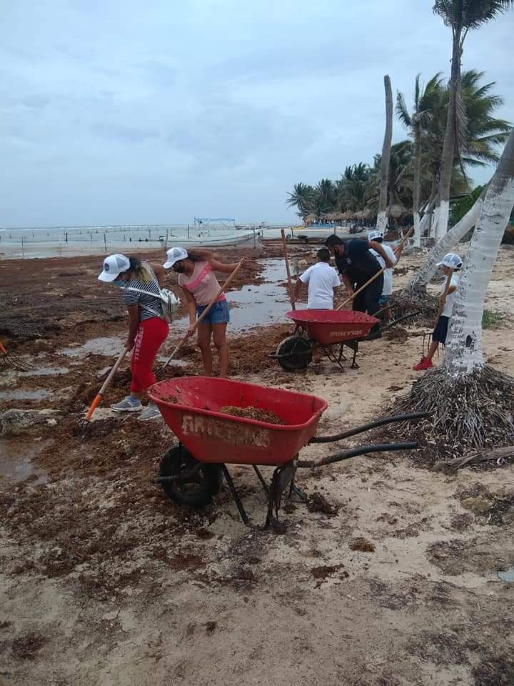 Representante de hoteleros de Mahahual reprueba empleo de embarcaciones sargaceras