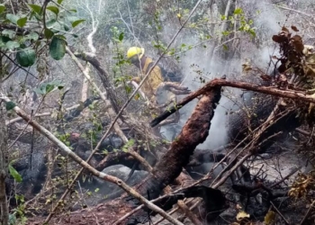 Quintana Roo reporta menos incendios forestales que en 2020
